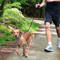 TRIXIE Smycz do joggingu 0,90m - 1,30m