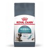 ROYAL CANIN Hairball Care karma sucha dla kotów dorosłych, eliminacja kul włosowych 4 kg