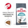 ROYAL CANIN Hairball Care karma sucha dla kotów dorosłych, eliminacja kul włosowych 2kg