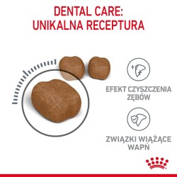 ROYAL CANIN Dental Care karma sucha dla kotów dorosłych, redukująca odkładanie kamienia nazębnego 3,5kg