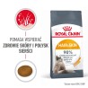 ROYAL CANIN Hair & Skin Care karma sucha dla kotów dorosłych, lśniąca sierść i zdrowa skóra 4 kg