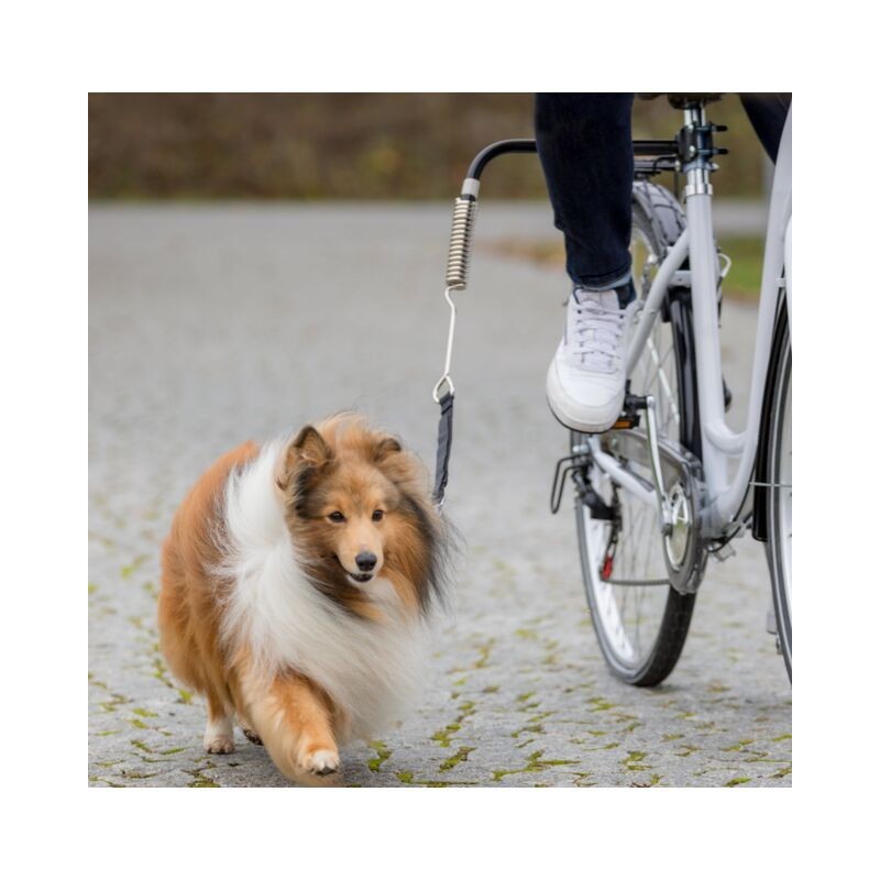 TRIXIE Zestaw rowerowy smycz do roweru - rozm. S-M