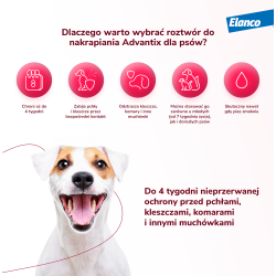 BAYER Advantix Spot-on 25kg - 40kg 25kg - 40kg (4x 4,0ml)