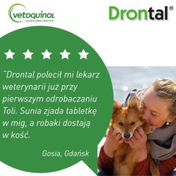 VETOQUINOL Drontal Dog Flavour 150/144/50 mg - tabletki na odrobaczanie dla psów do 20kg / 2 tabl.