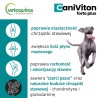 VETOQUINOL Caniviton Forte Plus 90tabl.