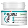VETOQUINOL Caniviton Forte Plus 90tabl.