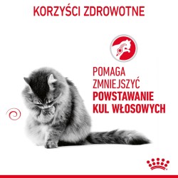 ROYAL CANIN Hairball Care karma sucha dla kotów dorosłych, eliminacja kul włosowych 2kg