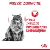 ROYAL CANIN Dental Care karma sucha dla kotów dorosłych, redukująca odkładanie kamienia nazębnego 1,5 kg