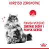 ROYAL CANIN Hair & Skin Care karma sucha dla kotów dorosłych, lśniąca sierść i zdrowa skóra 4 kg