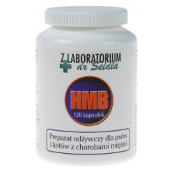 DR SEIDEL HMB 120 kaps. + 20% GRATIS