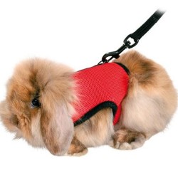 TRIXIE Szelki ze smyczą dla małych zwierząt dla świnki morskiej 18-25cm