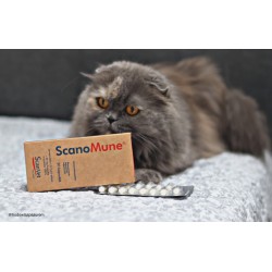 SCANVET Scanomune - odporność psa i kota 20mg 30 kaps.
