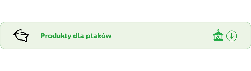 Wszystko dla ptaków
