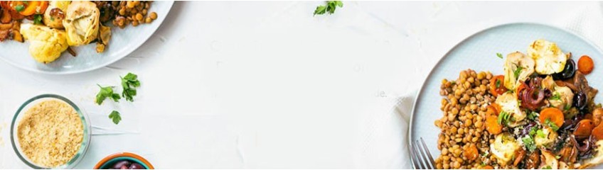 Psy - Wszystko dla psa