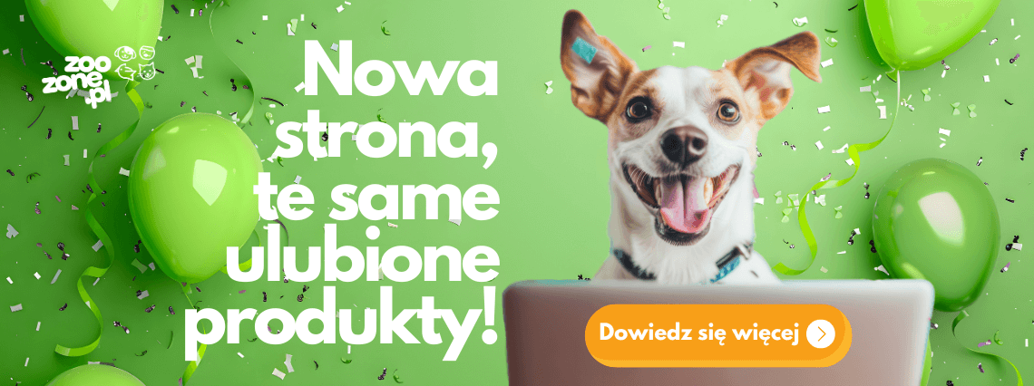 Nowa odsłona zoozone.pl - rozgość się!